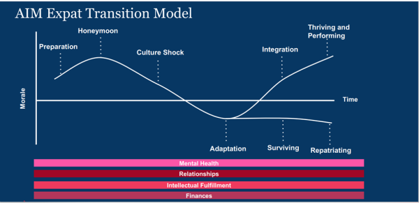 AIM Expat Transition model - explained in the following text